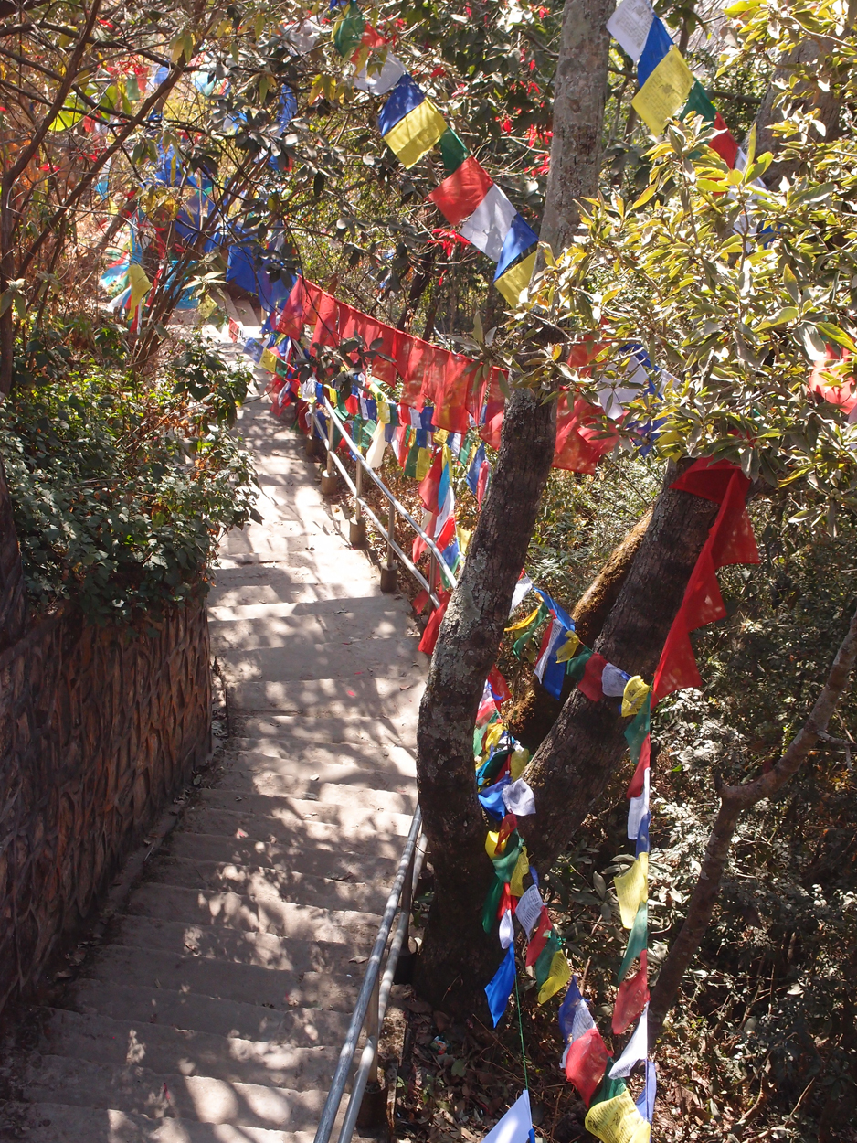 2018-01-23 10 Uhr - Pharping (Audio, Foto, Video) 